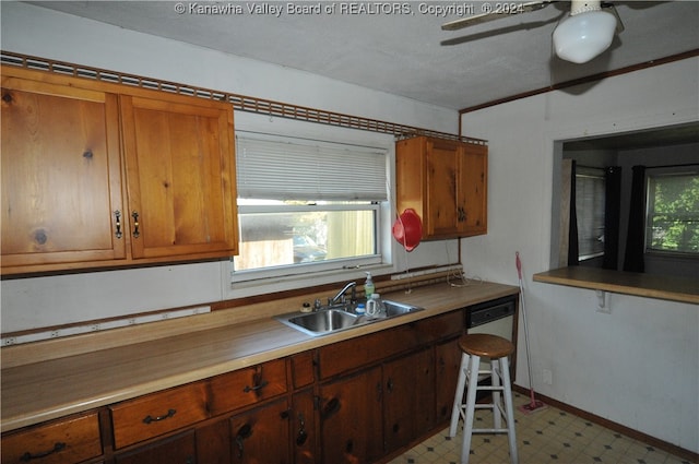 kitchen with white dishwasher, ceiling fan, and sink