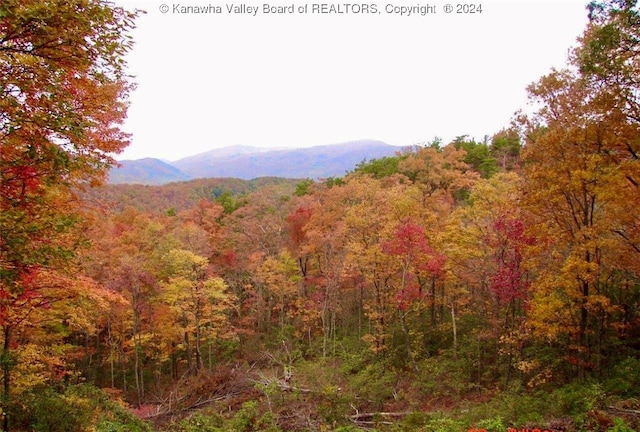 Listing photo 3 for 0 Dry Branch Rd, Charleston WV 25306