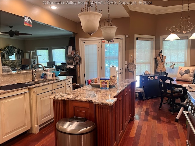 kitchen with decorative light fixtures, dark hardwood / wood-style floors, and sink