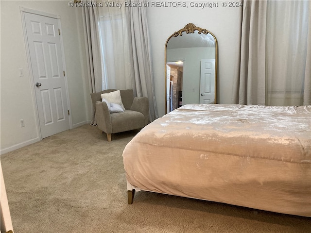 view of carpeted bedroom