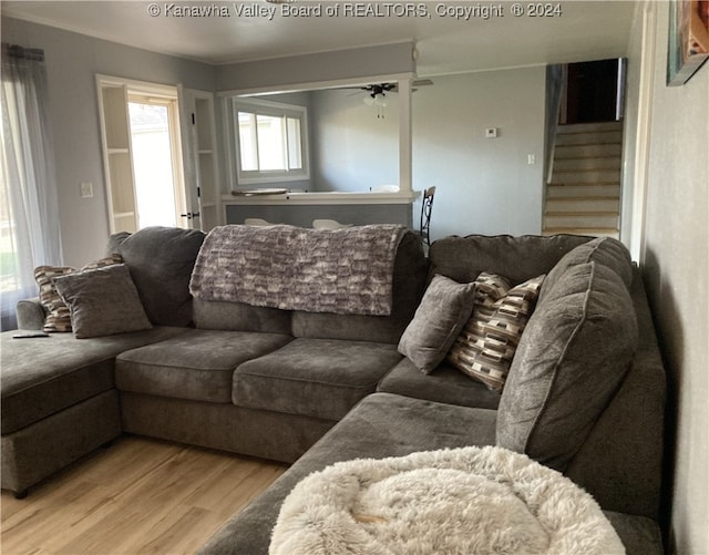 living room featuring ceiling fan and light hardwood / wood-style floors