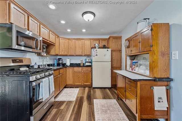 kitchen with a textured ceiling, stainless steel appliances, dark hardwood / wood-style floors, and sink