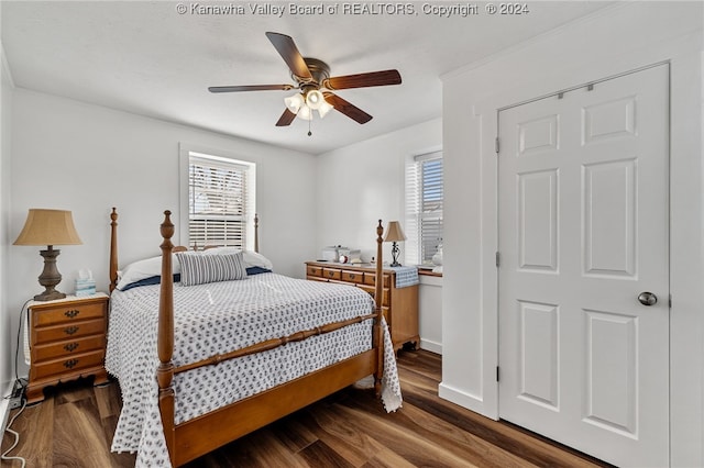 bedroom featuring multiple windows, ceiling fan, and dark hardwood / wood-style flooring