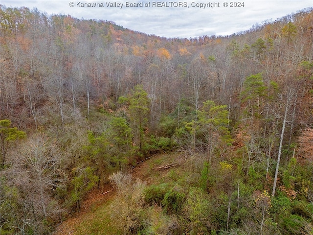 Listing photo 3 for 2656 Coleman Creek Rd, Fraziers Bottom WV 25082