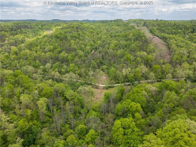 2656 Coleman Creek Rd, Fraziers Bottom, WV 25082