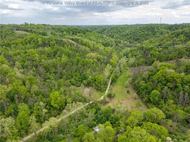 2656 Coleman Creek Rd, Fraziers Bottom, WV 25082