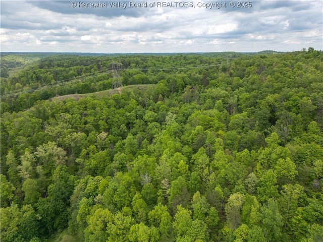 2656 Coleman Creek Rd, Fraziers Bottom, WV 25082