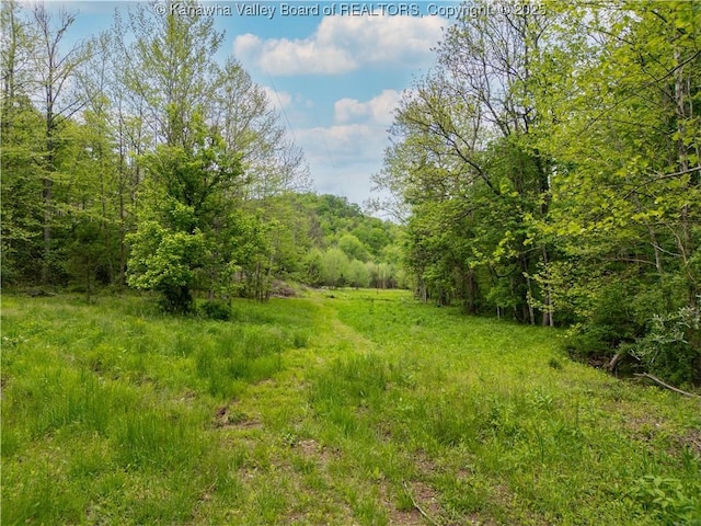 2656 Coleman Creek Rd, Fraziers Bottom, WV 25082