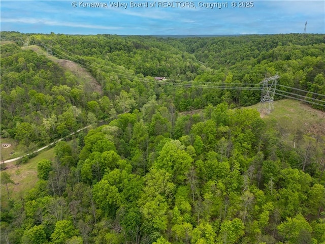 2656 Coleman Creek Rd, Fraziers Bottom, WV 25082