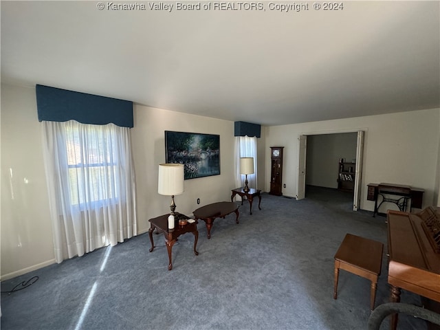 sitting room featuring carpet floors