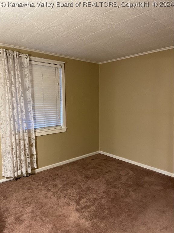 empty room featuring carpet and ornamental molding