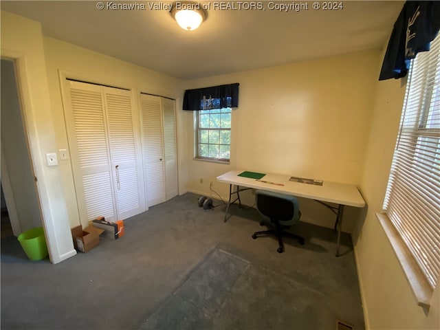 office with carpet flooring