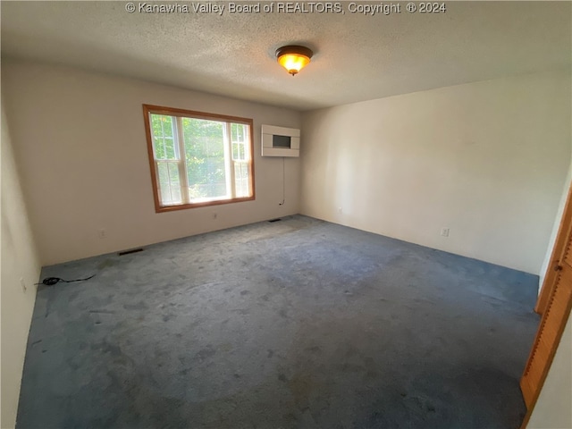 spare room featuring carpet and a textured ceiling