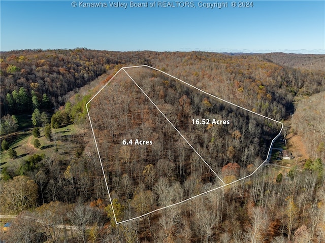 0 Utah Hollow Rd, Charleston WV, 25312 land for sale