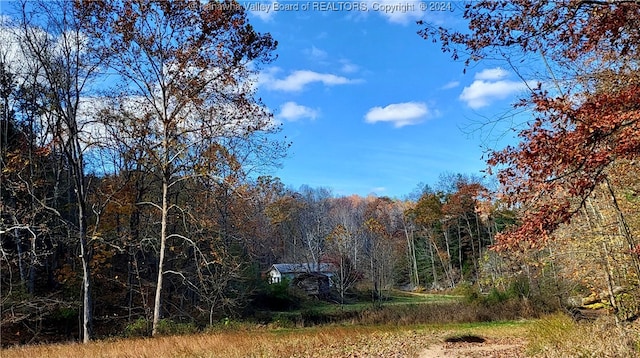 9105 Cain Ridge Rd, Leon WV, 25123 land for sale