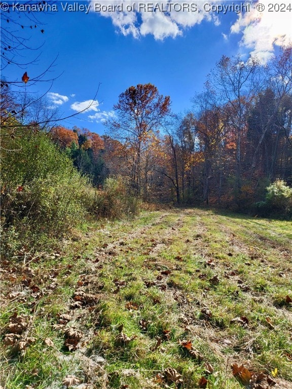 Listing photo 3 for 9105 Cain Ridge Rd, Leon WV 25123