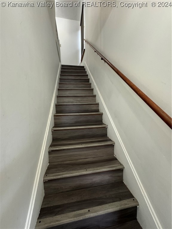 staircase featuring wood-type flooring