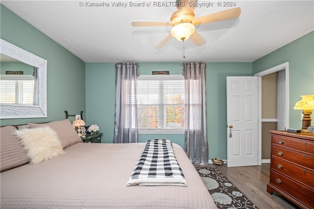 bedroom featuring hardwood / wood-style floors, multiple windows, and ceiling fan