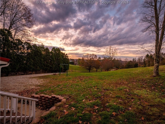 view of yard at dusk