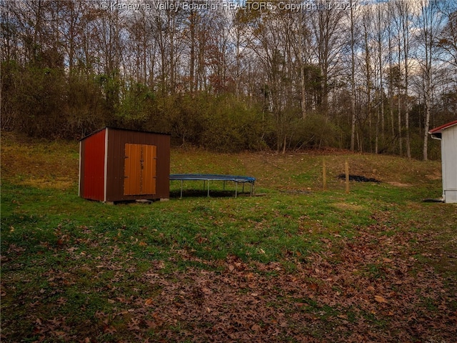 view of yard with a trampoline and a storage shed