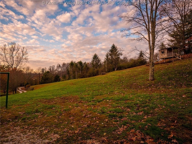 view of yard at dusk