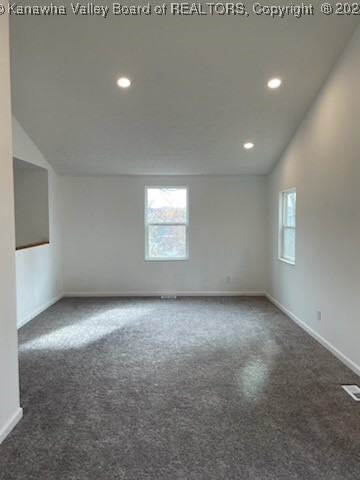 carpeted empty room with a healthy amount of sunlight and vaulted ceiling