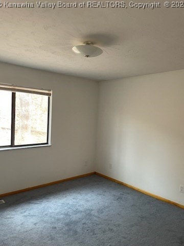 unfurnished room featuring carpet flooring