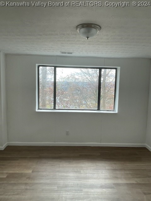 spare room with plenty of natural light, wood-type flooring, and a textured ceiling