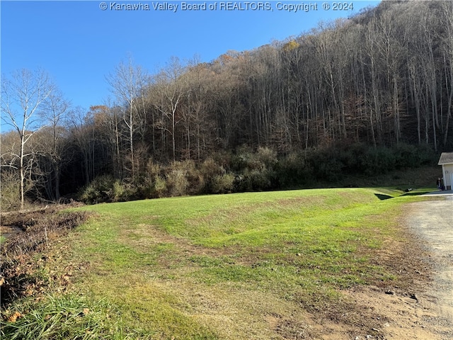 0 N Fork Rd, Chapmanville WV, 25508 land for sale