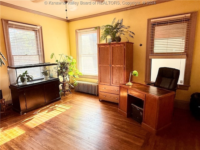 office space with radiator, hardwood / wood-style floors, and a healthy amount of sunlight