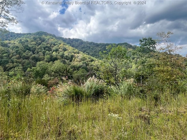 Listing photo 3 for LOT6 Foster Rd, Foster WV 25081