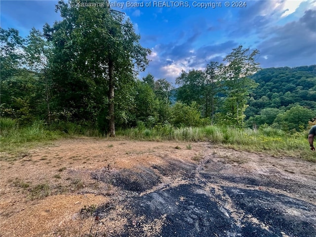 Listing photo 2 for LOT6 Foster Rd, Foster WV 25081