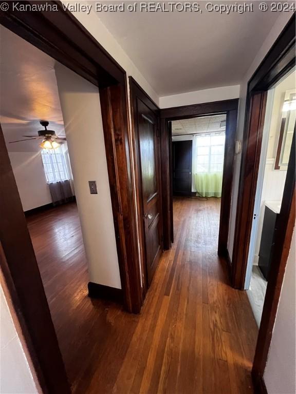 hallway featuring dark hardwood / wood-style flooring