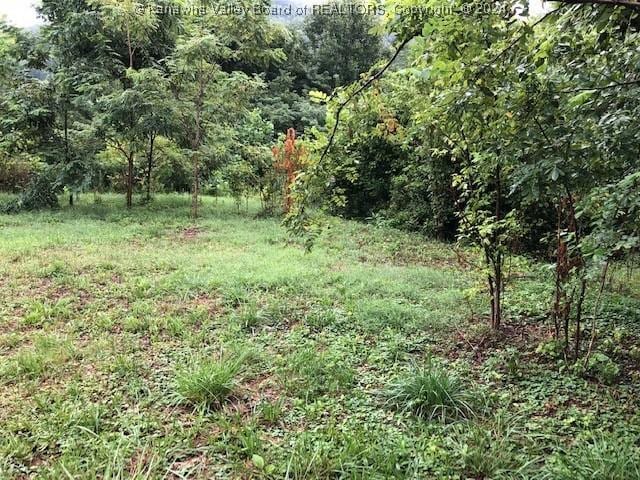 Listing photo 2 for 0 Haning Dr, Poca WV 25159