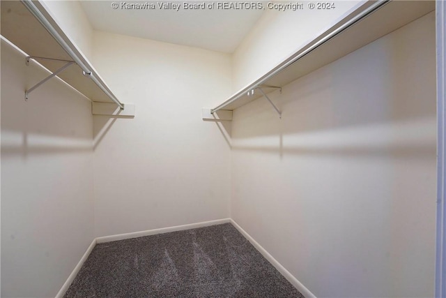 walk in closet featuring carpet flooring