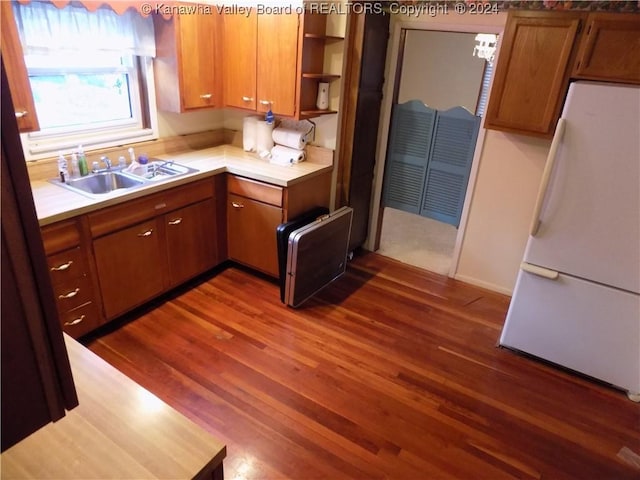 kitchen with sink, white fridge, and dark wood-type flooring