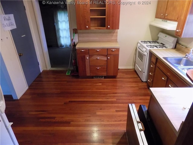 kitchen featuring gas range gas stove, sink, and dark hardwood / wood-style floors