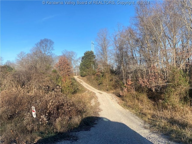 8884 Ripley Rd, Cottageville WV, 25271 land for sale