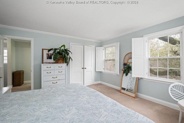 bedroom with ornamental molding, light carpet, and multiple windows