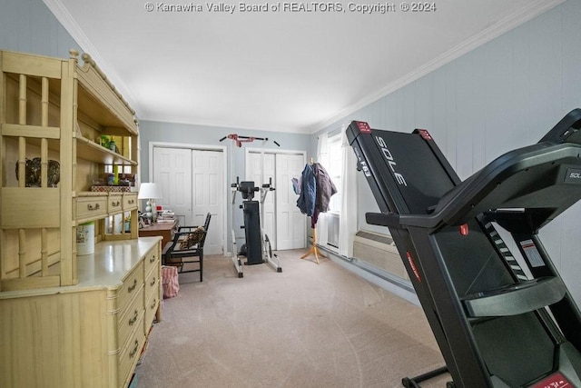 exercise area featuring light carpet and ornamental molding