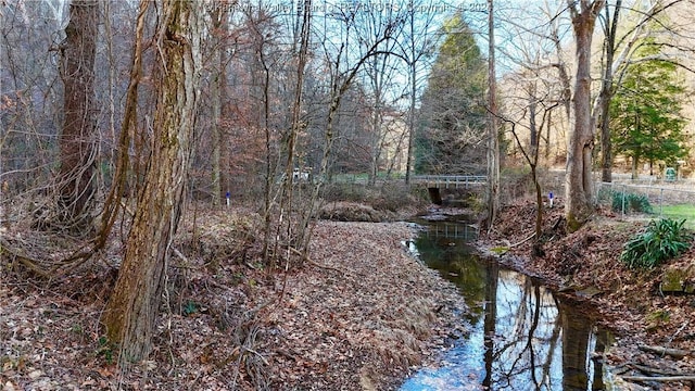 view of local wilderness