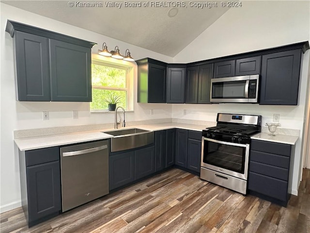 kitchen featuring dark wood-type flooring, stainless steel appliances, lofted ceiling, and sink