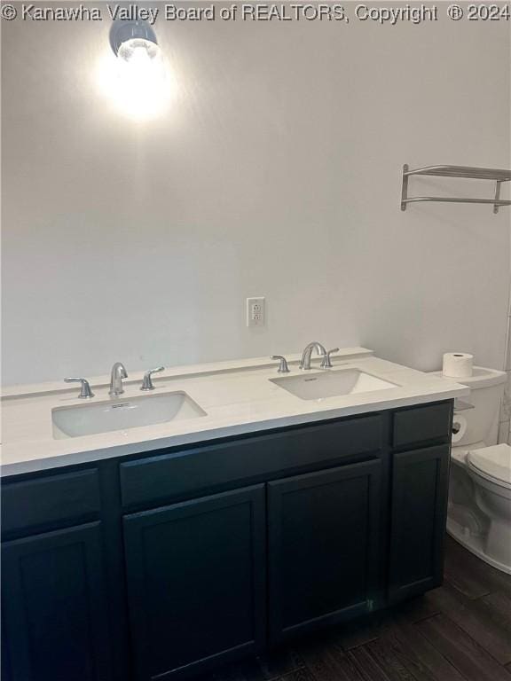 bathroom featuring vanity, toilet, and wood-type flooring