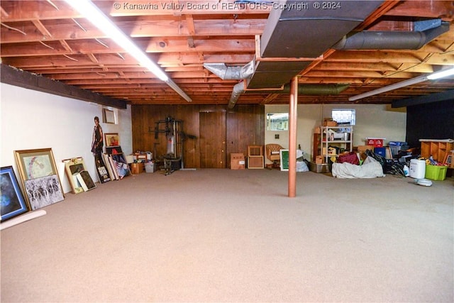 basement with carpet