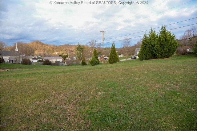 view of yard with a mountain view