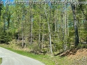 14 Stoney Creek Dr, Ripley, WV 25271 - photo 1