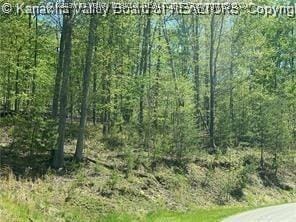 14 Stoney Creek Dr, Ripley, WV 25271 - photo 2