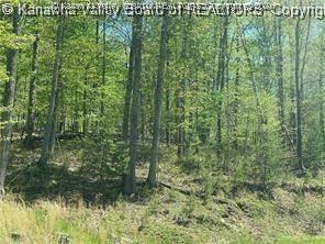 14 Stoney Creek Dr, Ripley, WV 25271 - photo 6