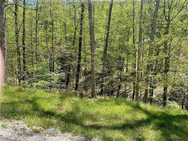 16-18 Stoney Creek Dr, Ripley WV, 25271 land for sale