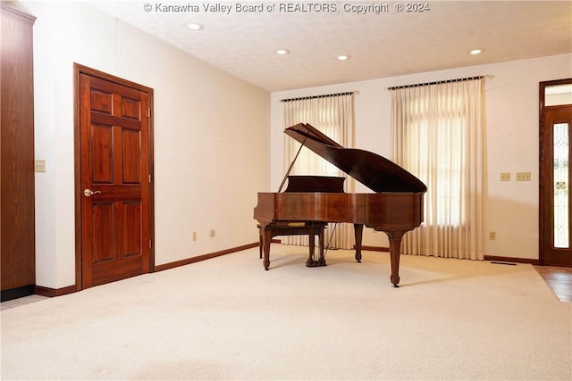 miscellaneous room with light carpet and a textured ceiling